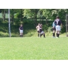 Bild 15